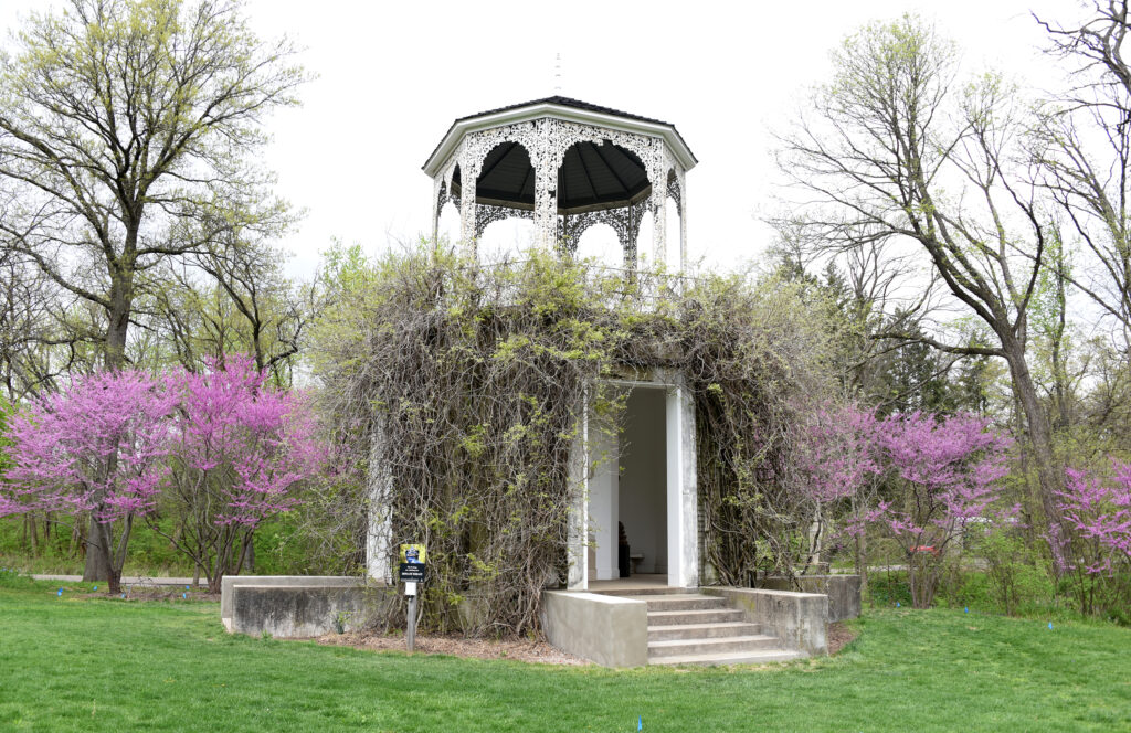 redbud-buddha_1447-1024x664