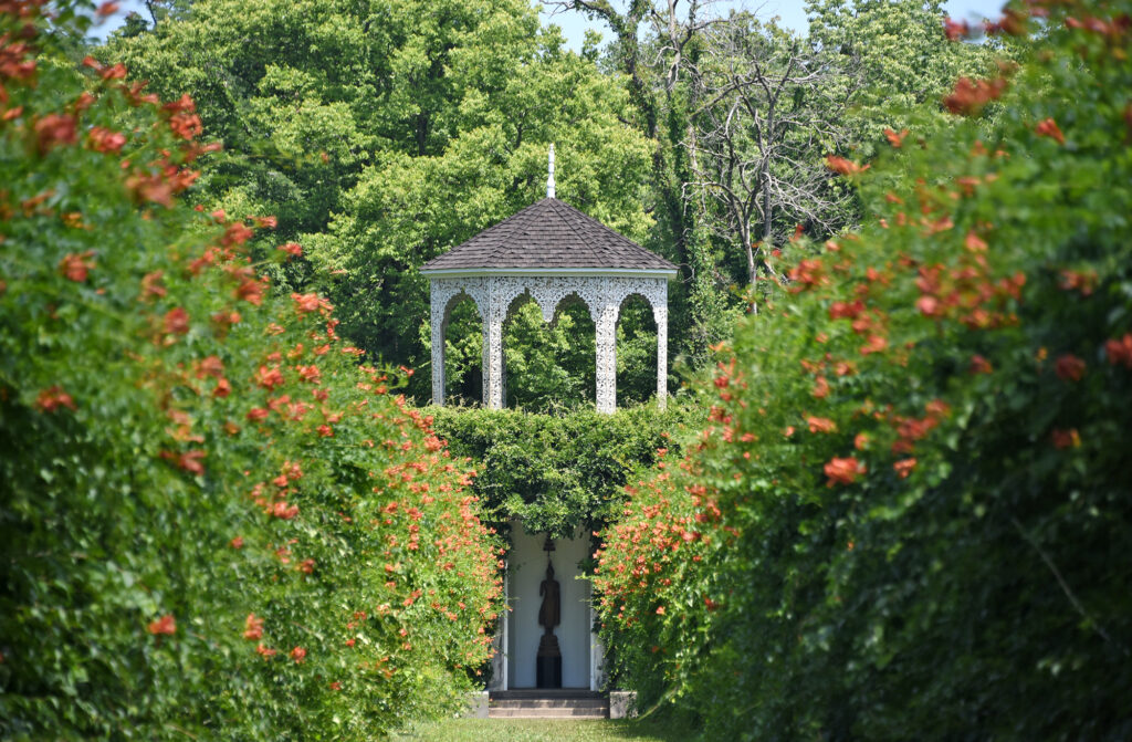 vine-walk-summer_7956-1024x671